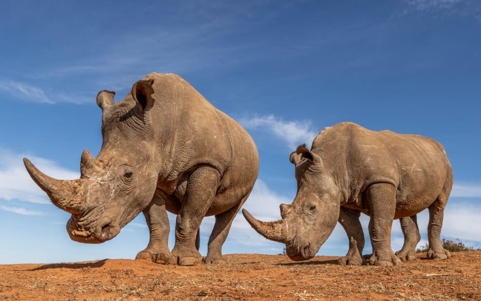 Founders Lodge — photo 3